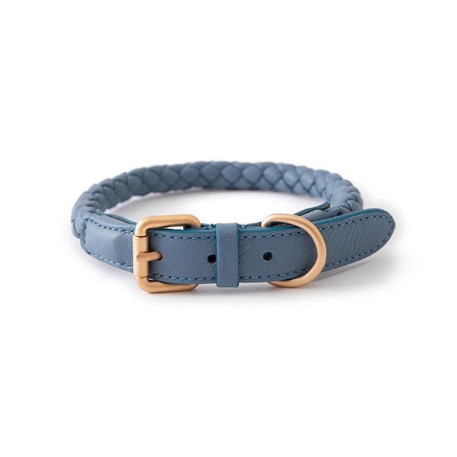 Pet Collar & Leash