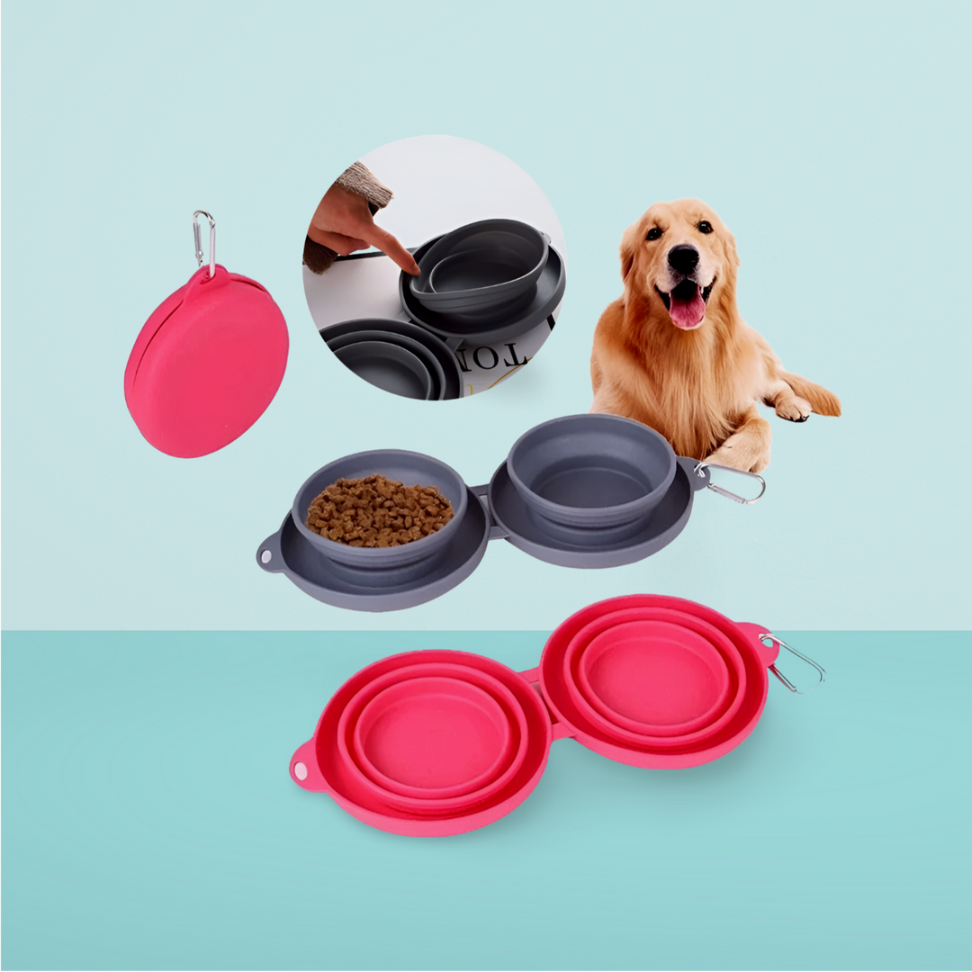 Foldable Double Bowl Pet - PetsDreamy