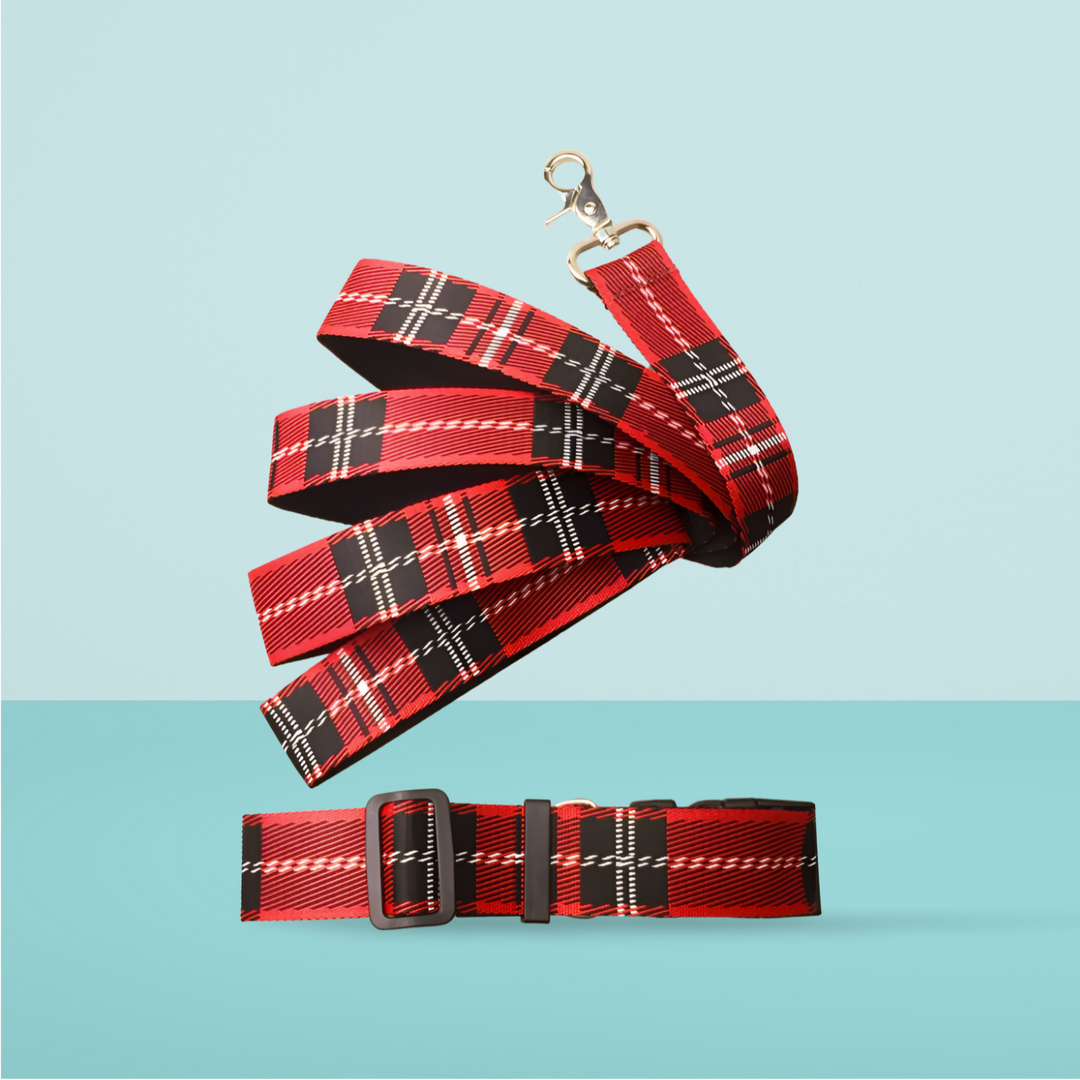 Pet Dog Collar Check Pattern Leash - PetsDreamy