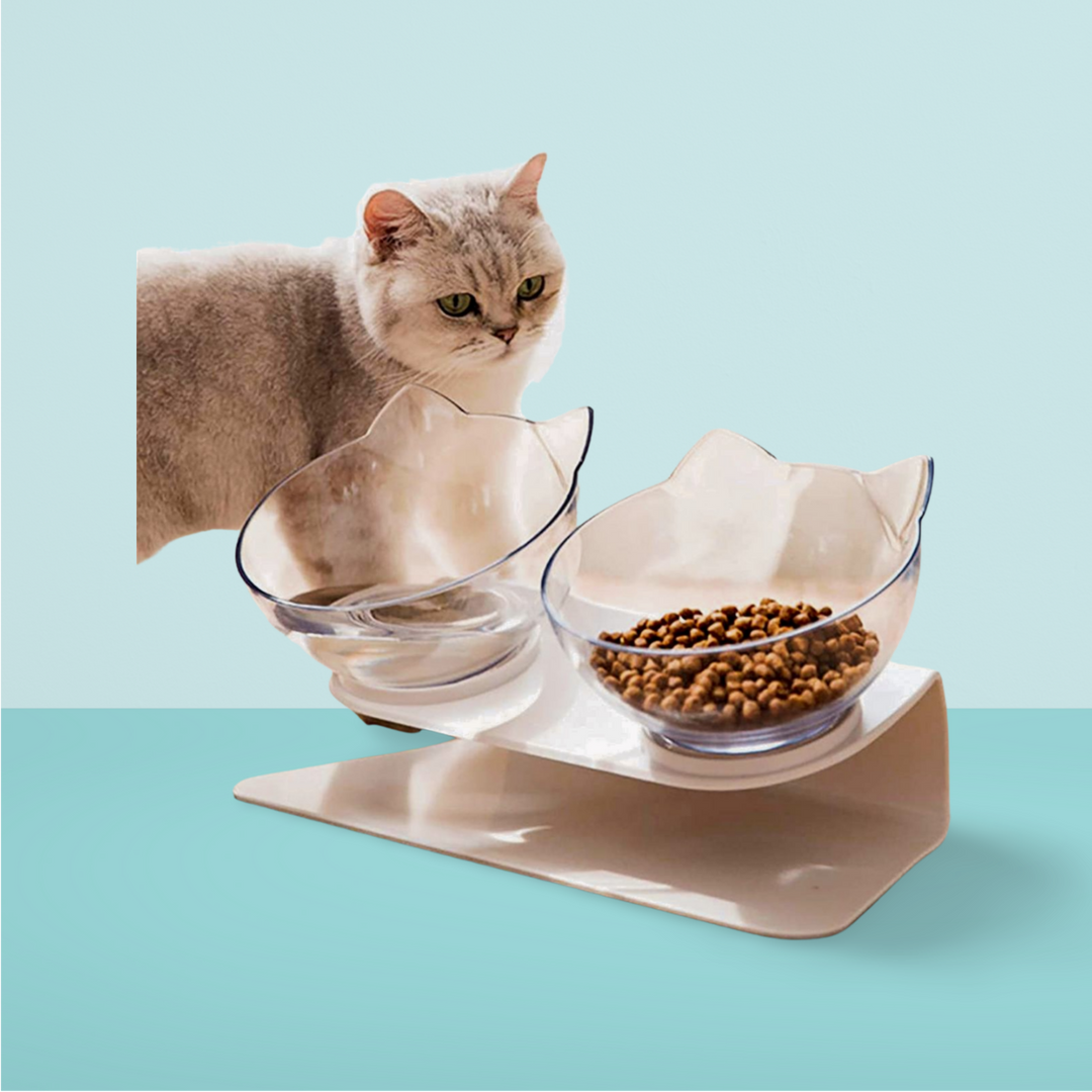 Anti-Vomiting Orthopedic Cat Bowl - PetsDreamy