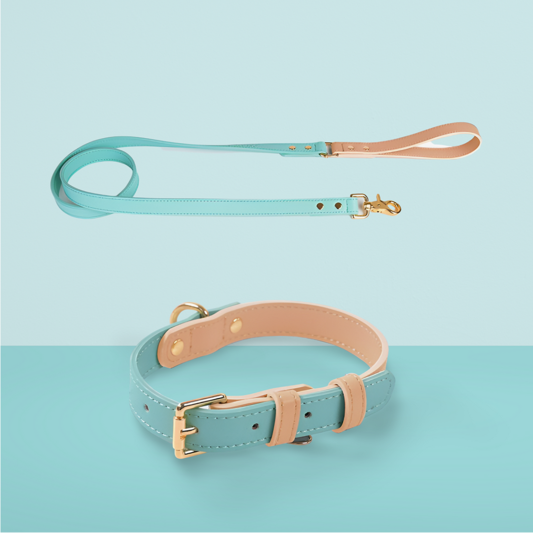 Leather Pet Dog Leash Collar Set - PetsDreamy