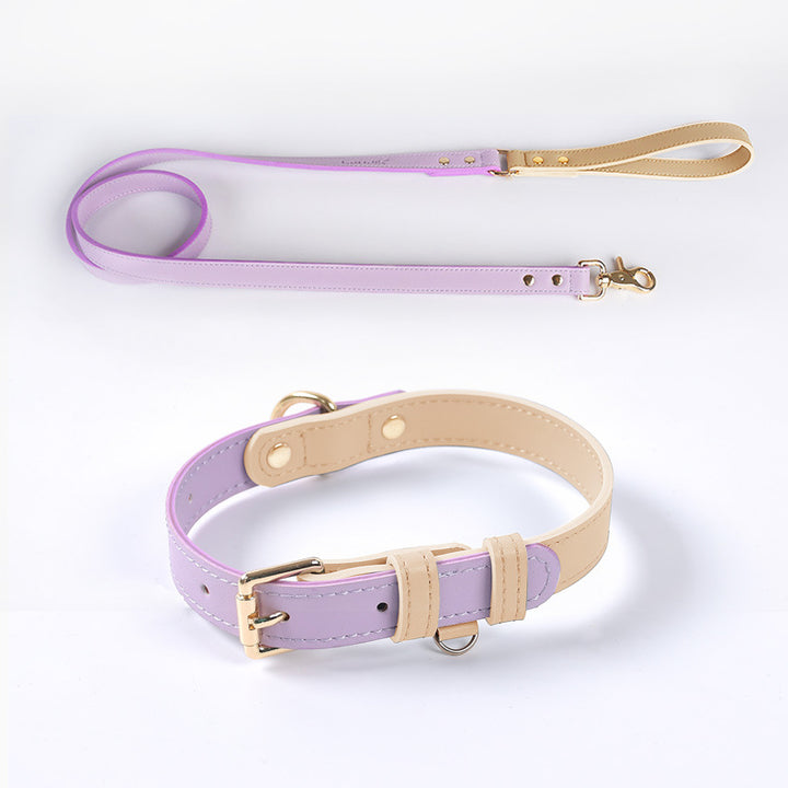 Leather Pet Dog Leash Collar Set - PetsDreamy