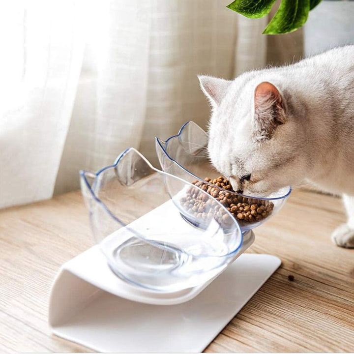 Anti-Vomiting Orthopedic Cat Bowl - PetsDreamy