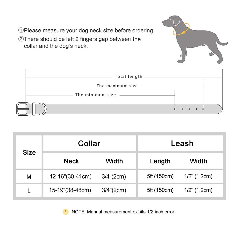 Dog Collar and Leash Set