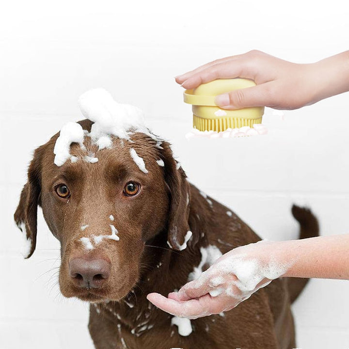 Bathroom Puppy for hygiene - PetsDreamy